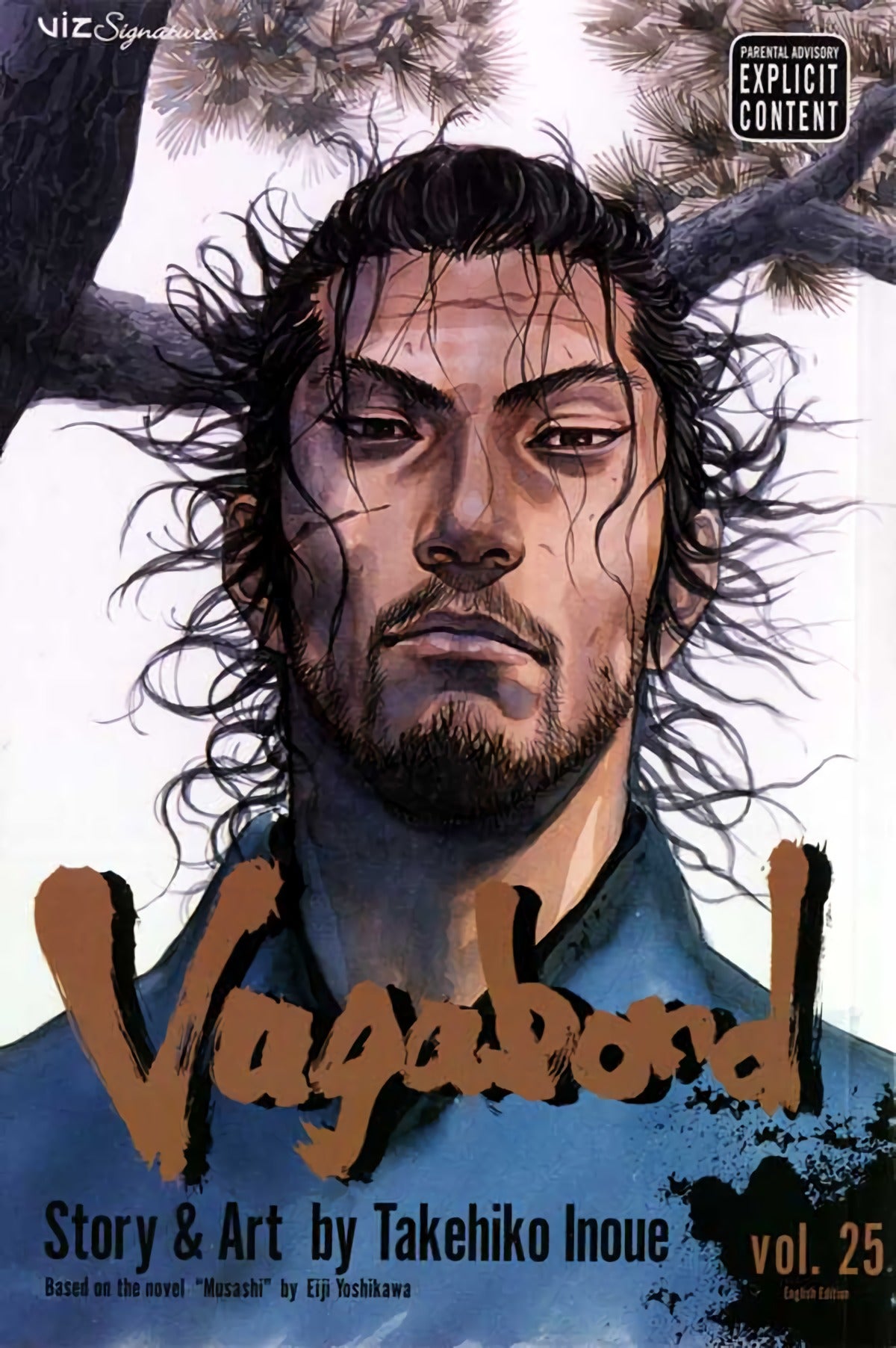 Vagabond, Vol 25