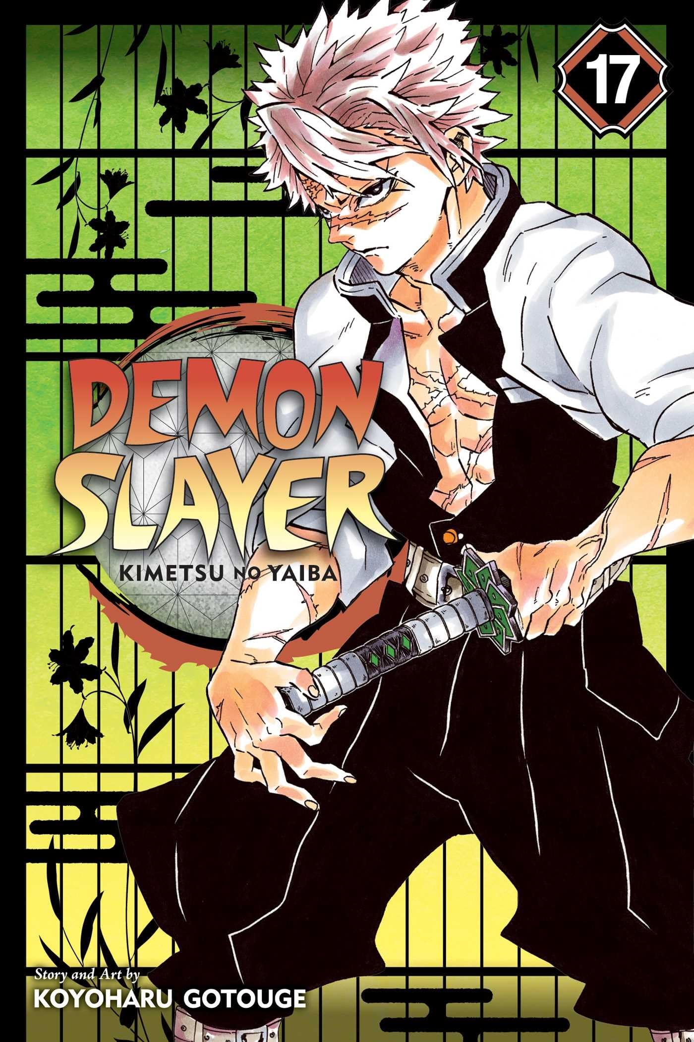 Demon Slayer, Vol 17