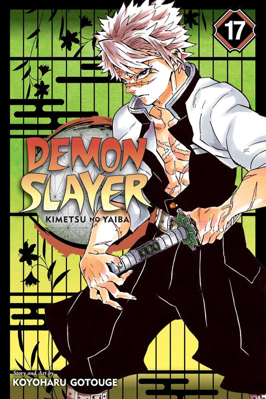 Demon Slayer, Vol 17