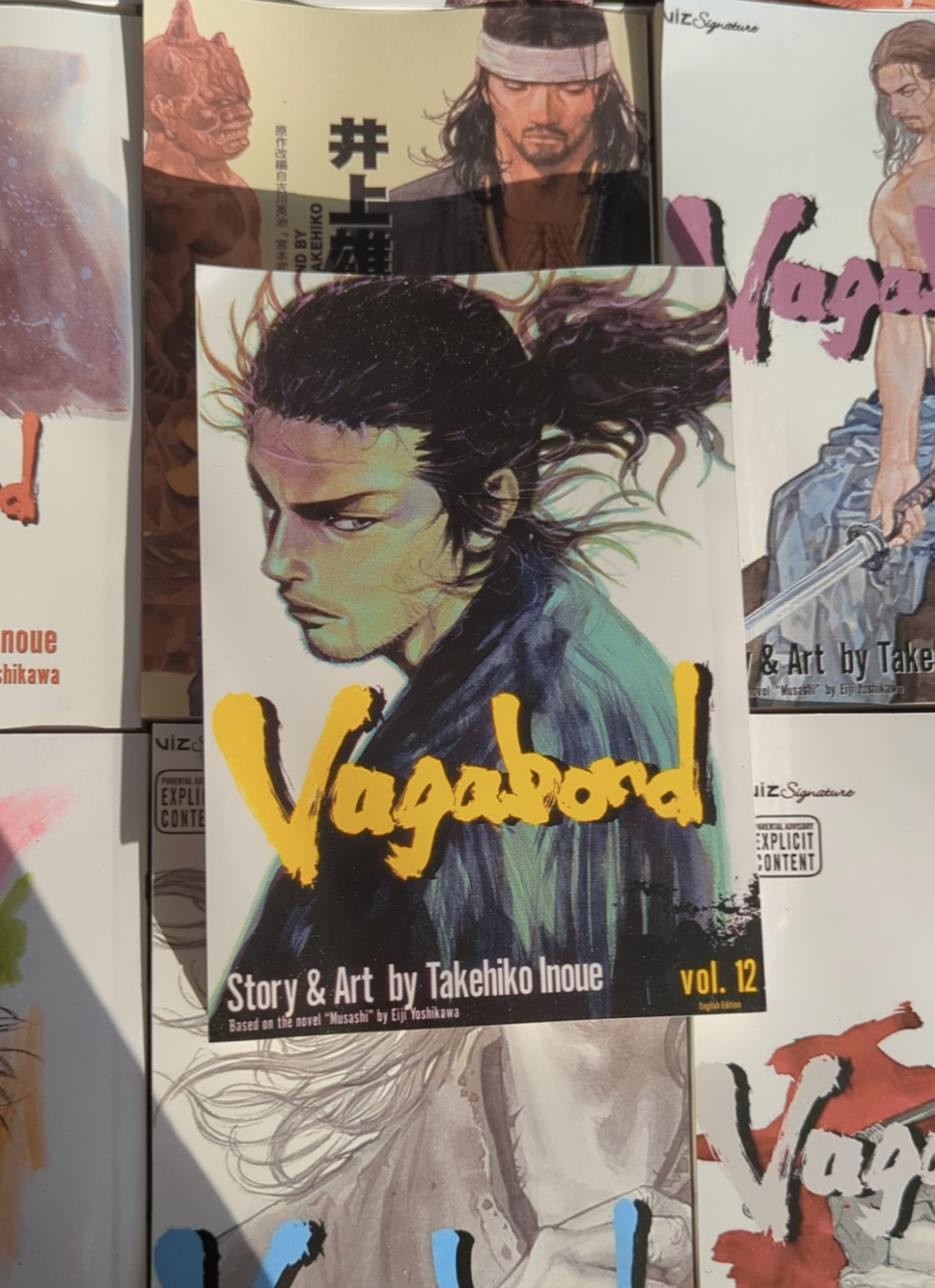 Vagabond, vol 12 (Reprinted)