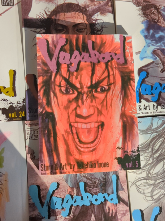 Vagabond, vol 5 (Reprinted)