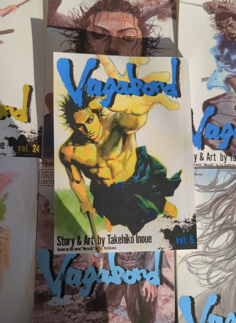 Vagabond, vol 6 (Reprinted)