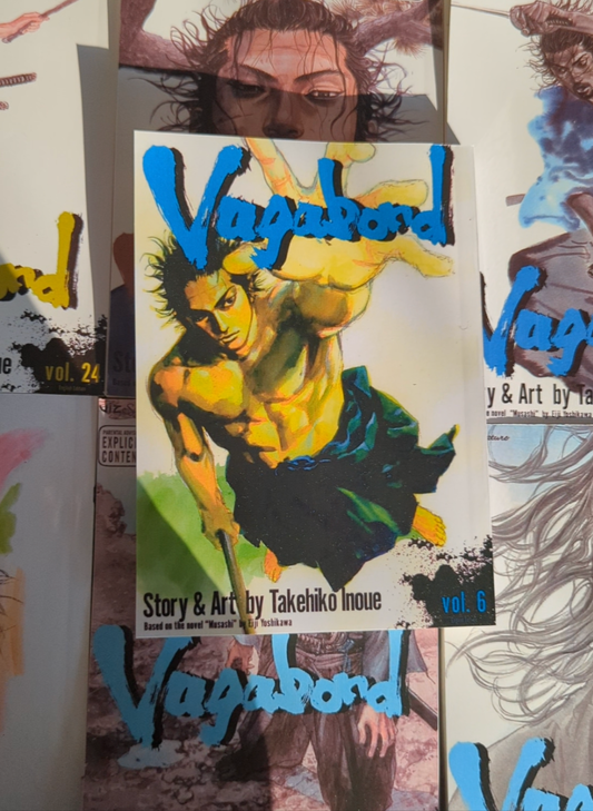 Vagabond, vol 6 (Reprinted)