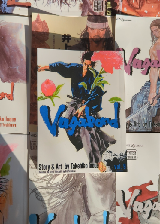 Vagabond, vol 9 (Reprinted)