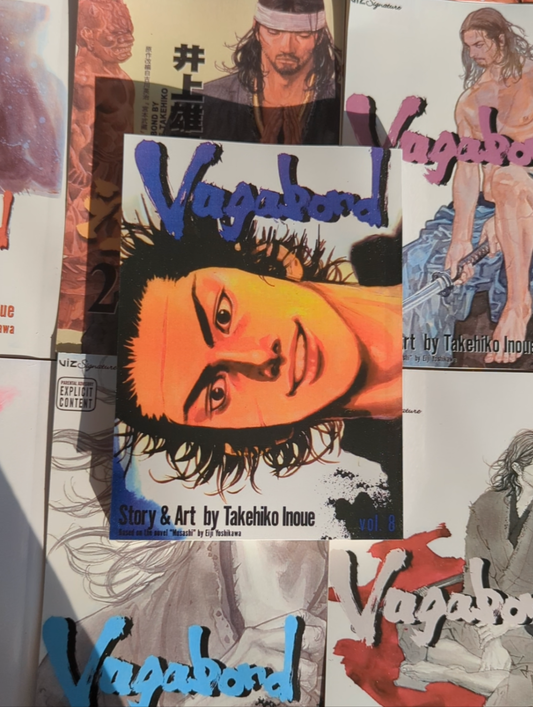 Vagabond, vol 8 (Reprinted)