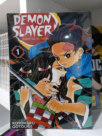 Demon Slayer, Vol 1 (Reprinted)