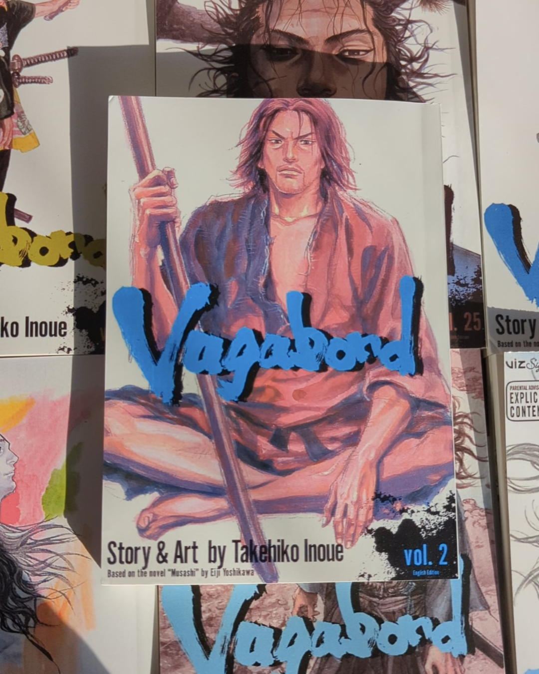 Vagabond, vol 2 (Reprinted)