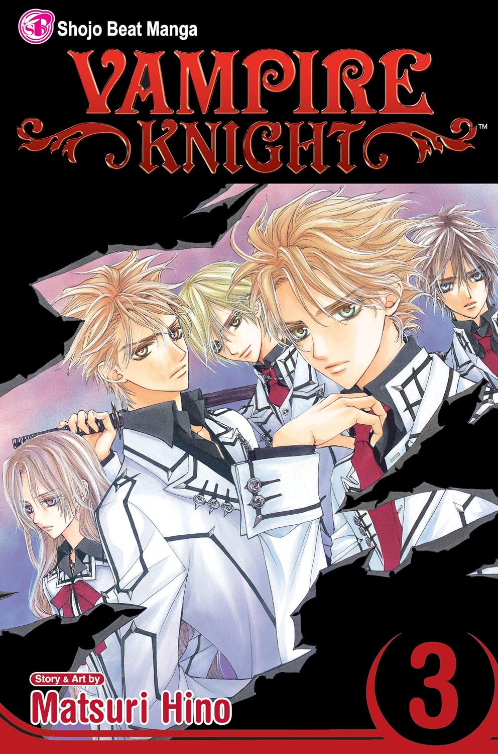 Vampire Knight Vol. 3 გარეკანი - Matsuri Hino